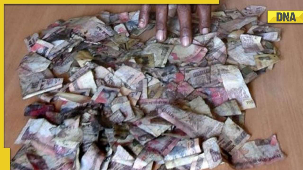 want-to-exchange-damaged-torn-notes-here-s-rbi-rules-and-regulations