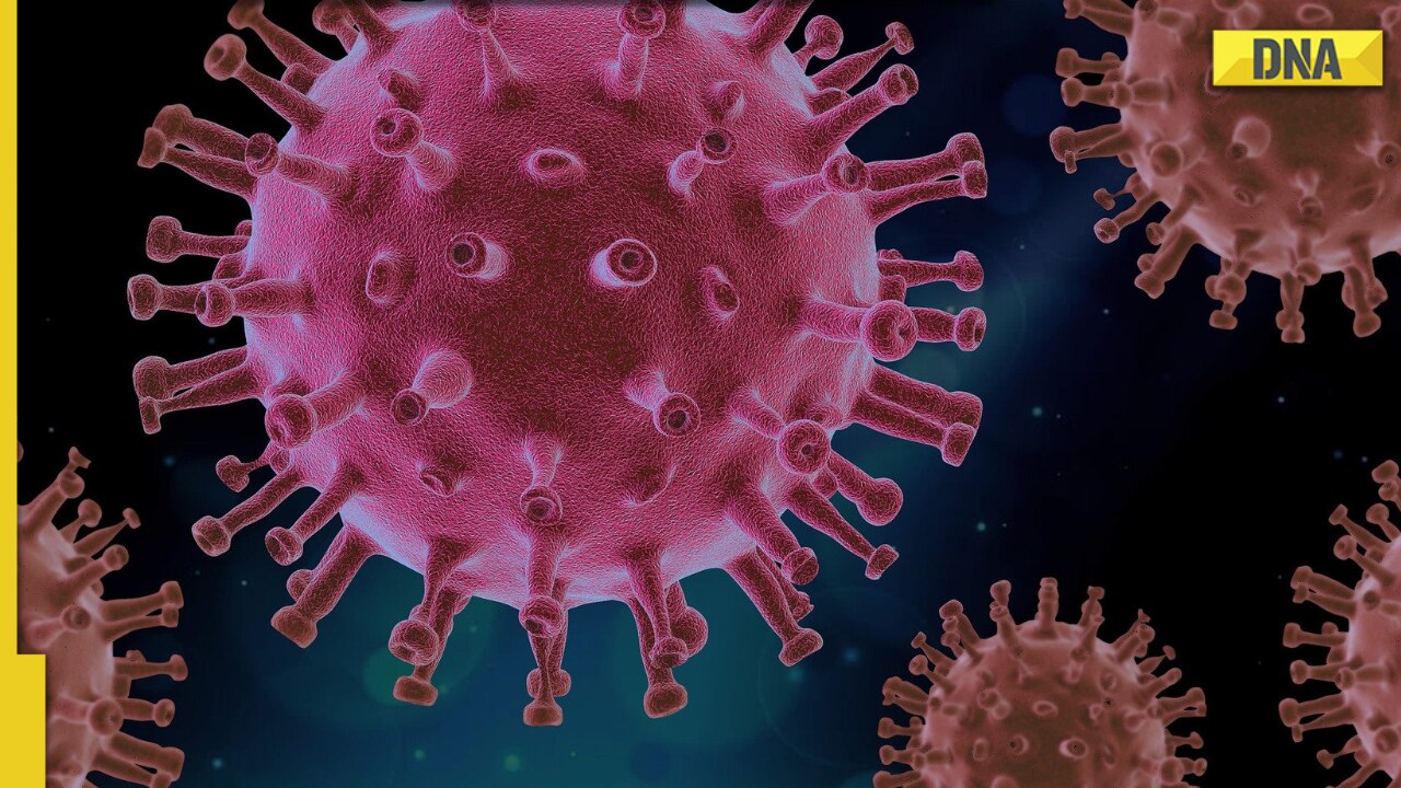 Covid reduces life expectancy in Australia: Report