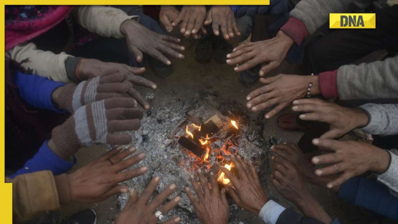 Delhi weather forecast: When will cold wave end in Delhi NCR? Check latest IMD update