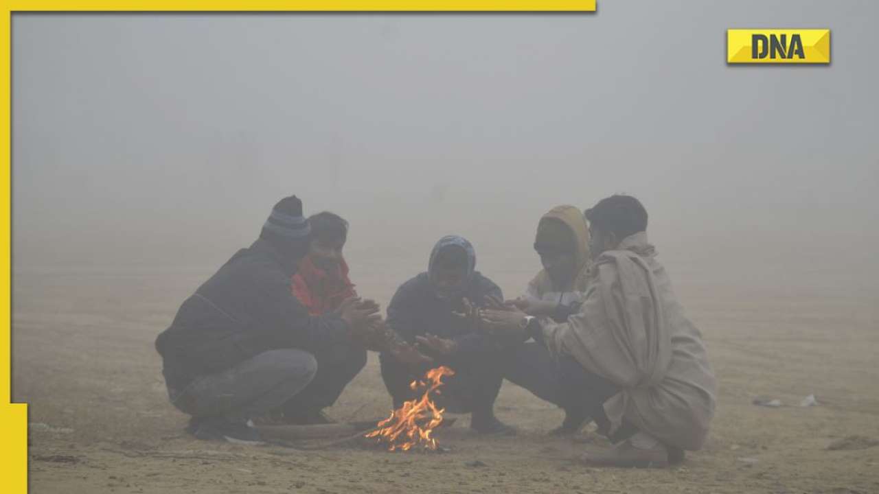 Delhi weather forecast: Delhi NCR to get relief from cold wave soon, check latest IMD update