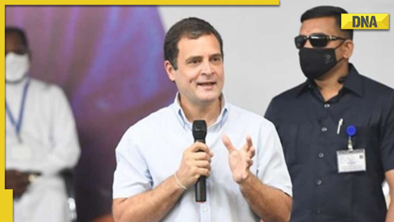 ‘I will wear a sweater when..’: Rahul Gandhi breaks silence on wearing t-shirt in Bharat Jodo Yatra amid cold wave