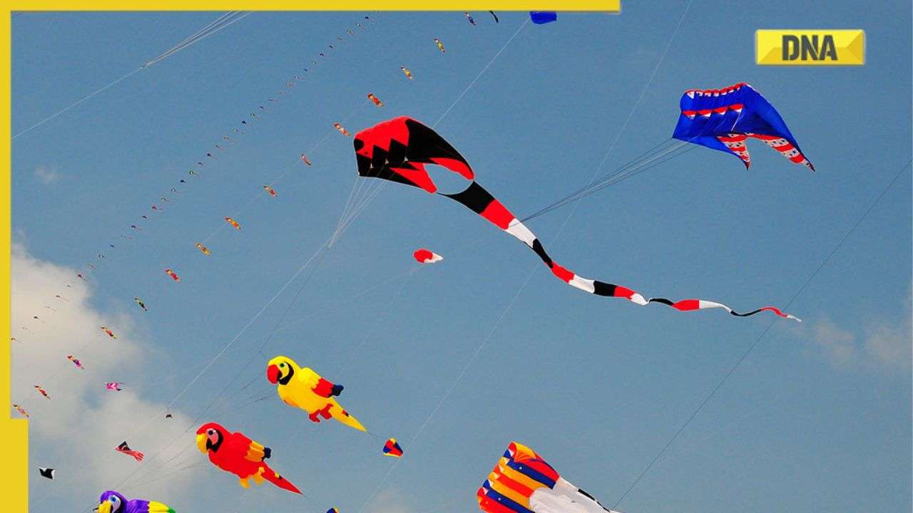 Makar Sankranti 2023: Here's why kite flying is an important aspect of the  festival