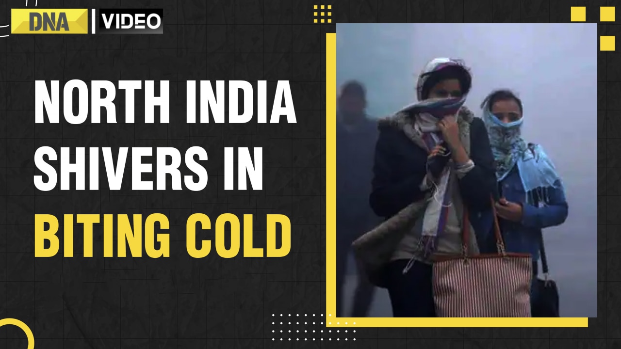 Weather Update: Cold Wave Chaos Continues In North India, Red Alert ...