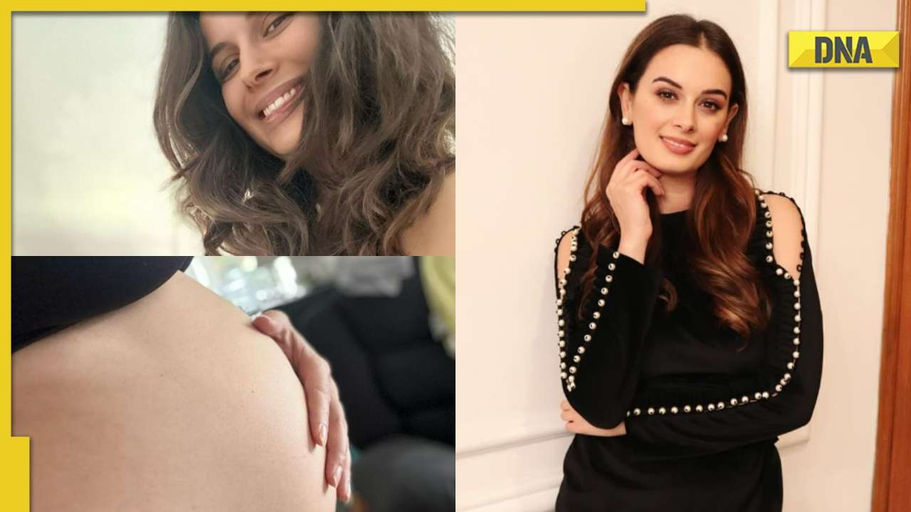 Evelyn Sharma announces pregnancy, to become mother for second time
