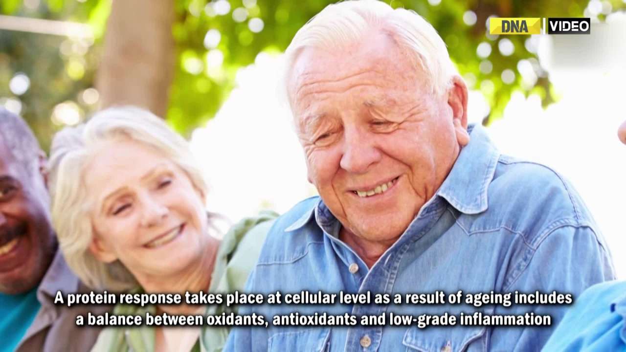 Researchers suggest effects of resistance training in older adults