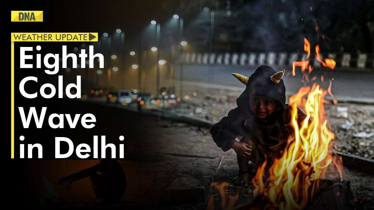Delhi Cold Wave: January records eight cold wave days, highest in 15 years; IMD predicts light rain
