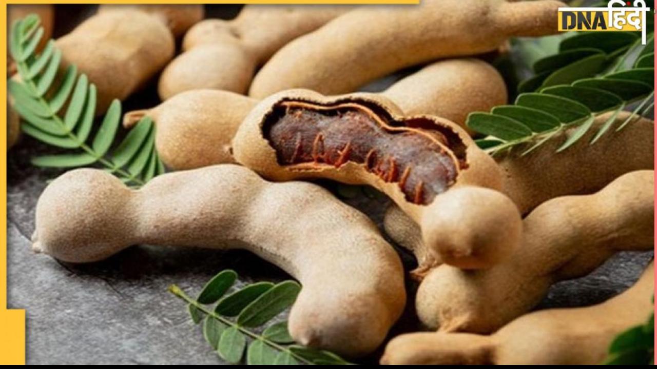 Blood Sugar Alert: डायबिटीज में कोमा तक पहुंचा सकती है इमली, अचानक से ब्लड शुगर कर देती है कम