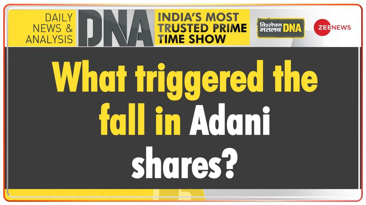DNA | What triggered the fall in Adani shares and how much did they lose?