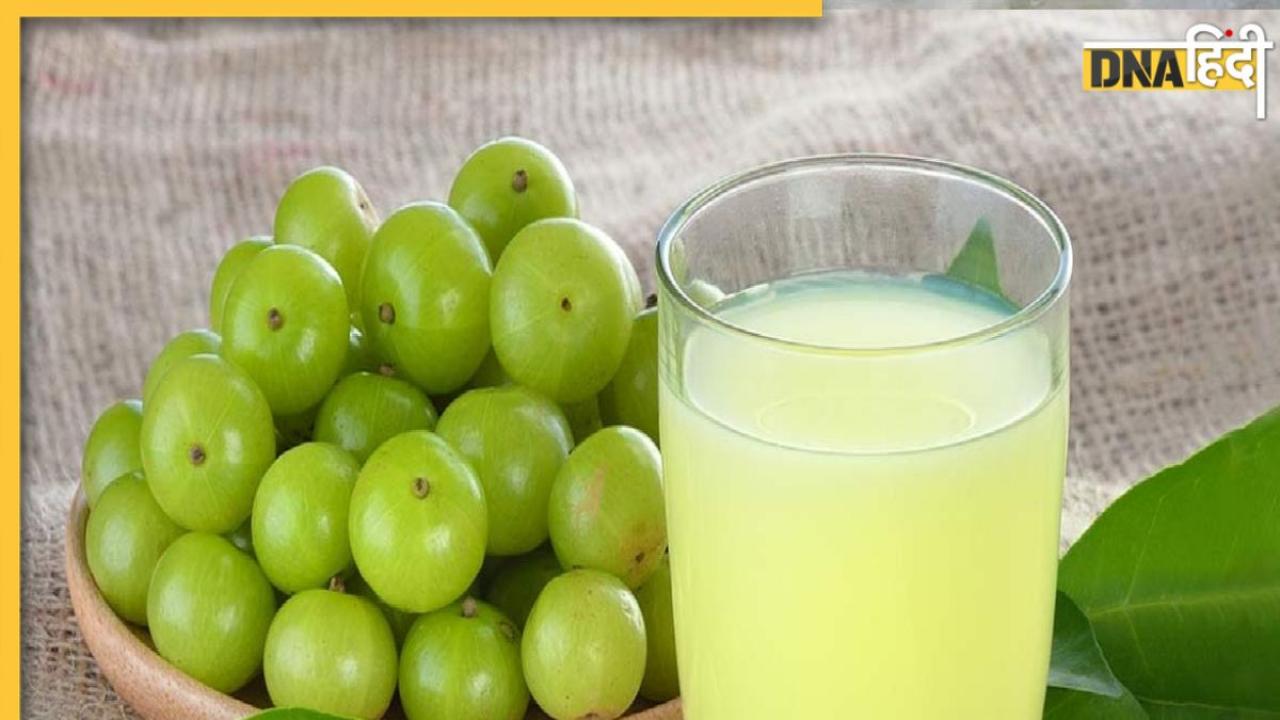 Amla Juice Benefits: खाली पेट रोज पीएं आंवले का 2 चम्मच जूस, डायबिटीज से यूरिक एसिड तक होगा दूर