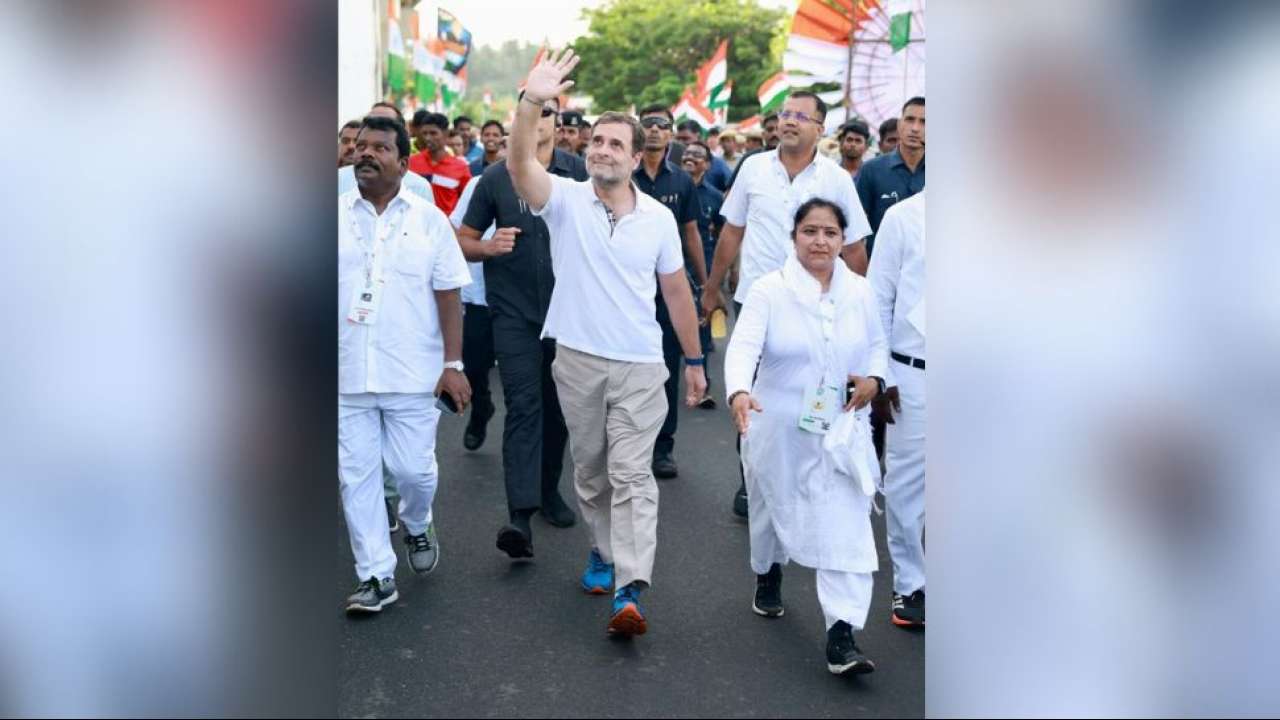 Bharat Jodo Yatra - Top moments of Rahul Gandhi from the journey