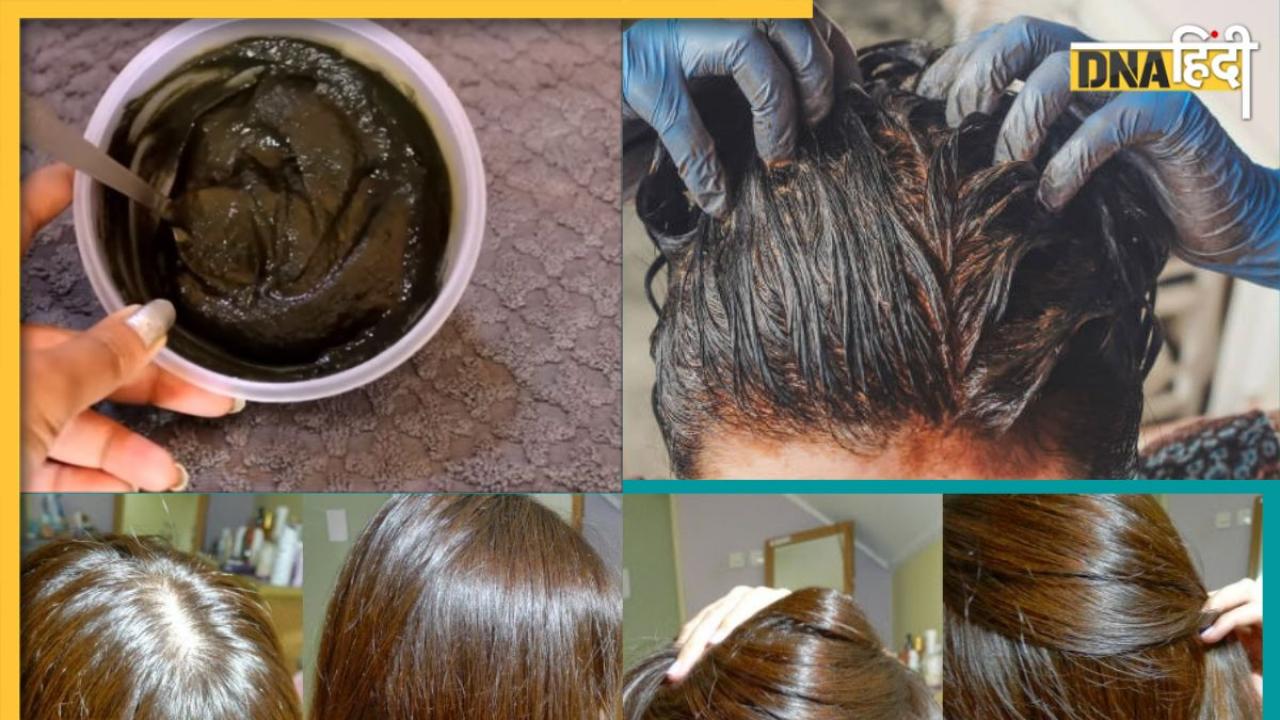Hair Care Latest News and Updates in Hindi – Hair Care के समाचार,ताज़ा ख़बरें,फोटो और वीडियो - DNA HINDI Hair Care Latest News and Updates in Hindi – Hair Care के समाचार,ताज़ा ख़बरें,फोटो और वीडियो - DNA HINDI