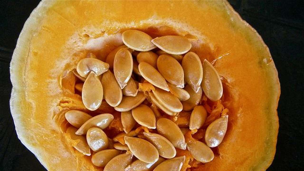 5 surprising health benefits of pumpkin seeds Powerpacked with