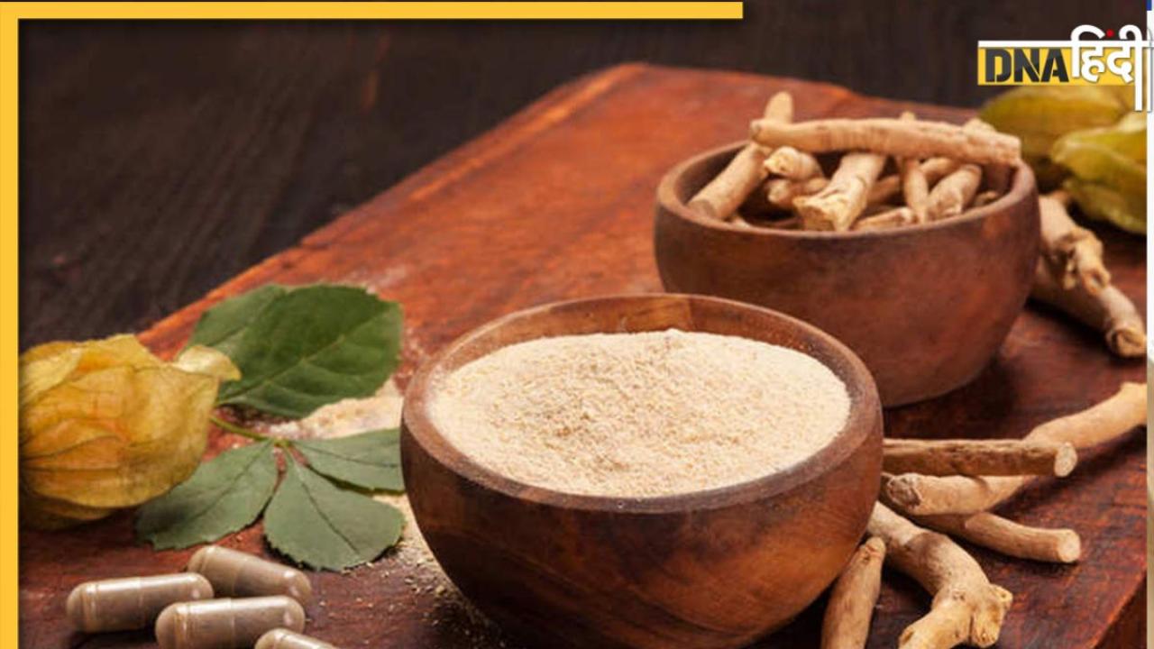 Ashwagandha For Diabetes: ब्लड में शुगर बढ़ने से रोकती है अश्वगंधा, डायबिटीक पेशेंट जान लें इस बूटी को खाने का सही समय