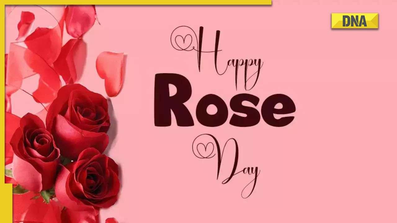 Happy Rose Day 2023: Significance of different coloured roses on ...