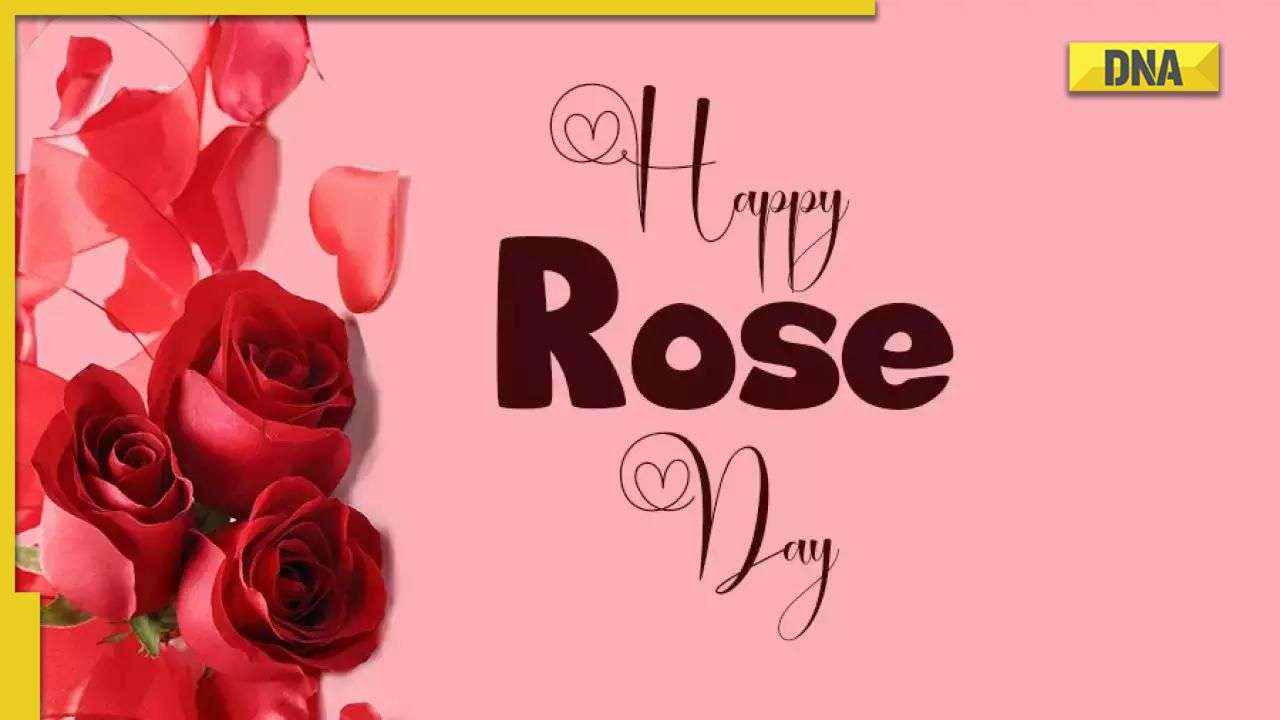 Rose Day 2023: Did you know the red rose was originally NOT a symbol of  LOVE?