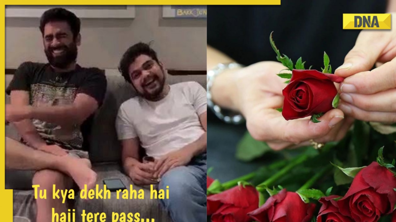 Happy Rose Day 2023: Singles savagely mock Rose Day with hilarious memes  and jokes on Twitter