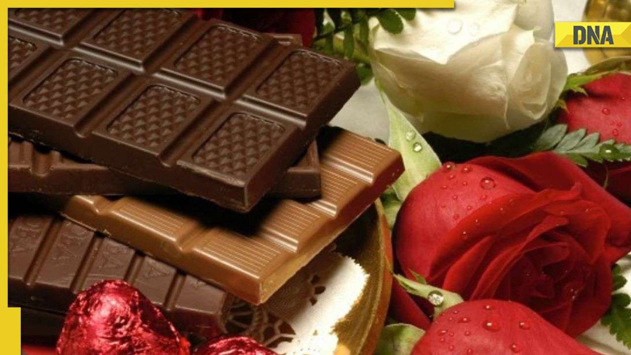 Happy Chocolate Day 2023: Add sweetness to your relationship, send ...