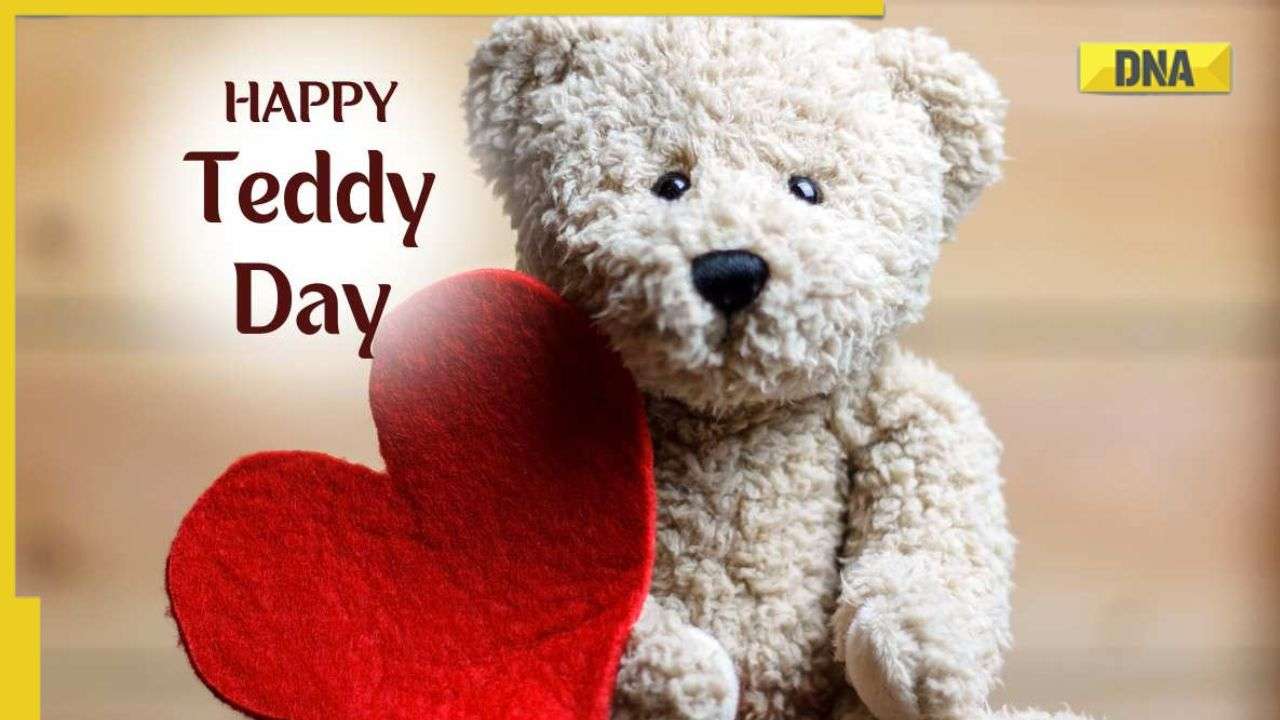 Teddy Day 2023: Date, history, significance and celebrations of ...