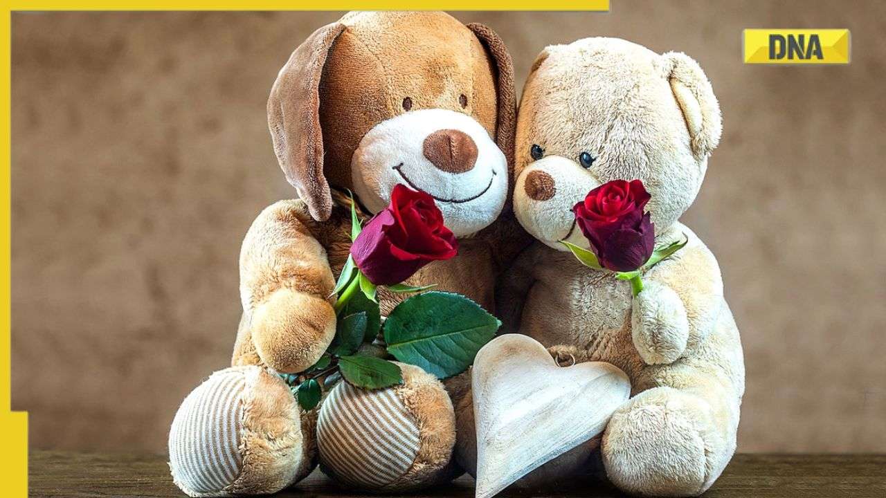 Happy Teddy Day 2023: WhatsApp messages, wishes and quotes to share
