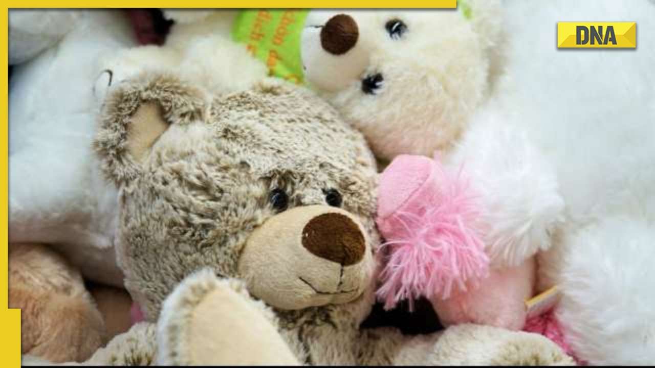 Happy Teddy Day 2023 wishes WhatsApp messages, quotes, Facebook ...