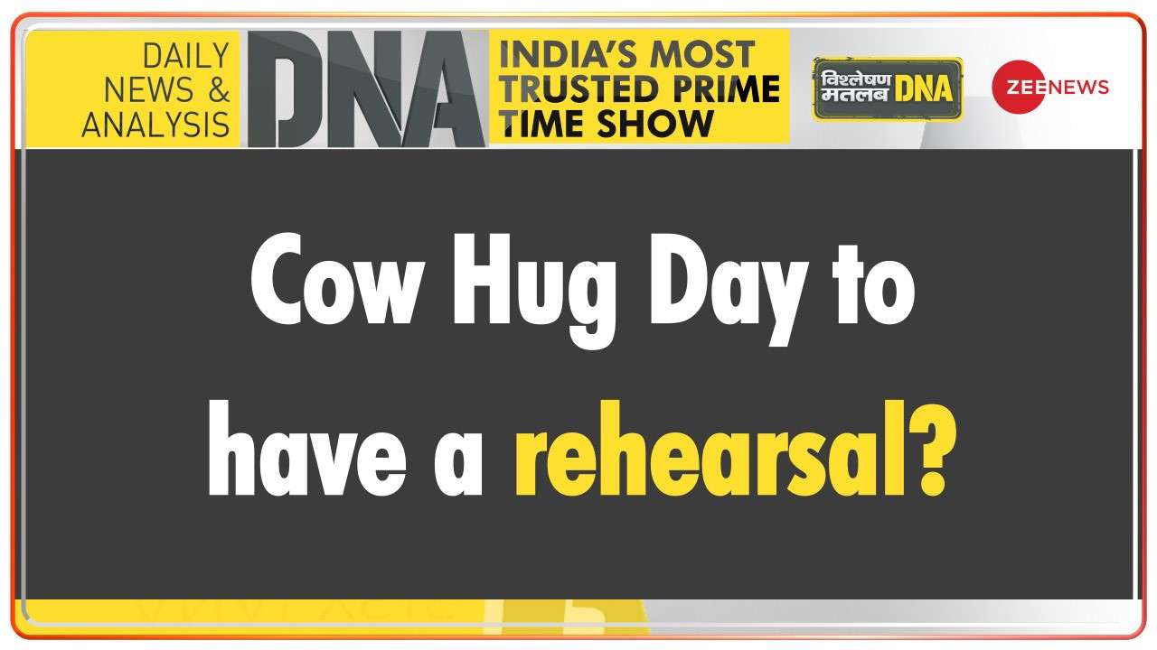 DNA | Cow Hug Day to have a rehearsal?