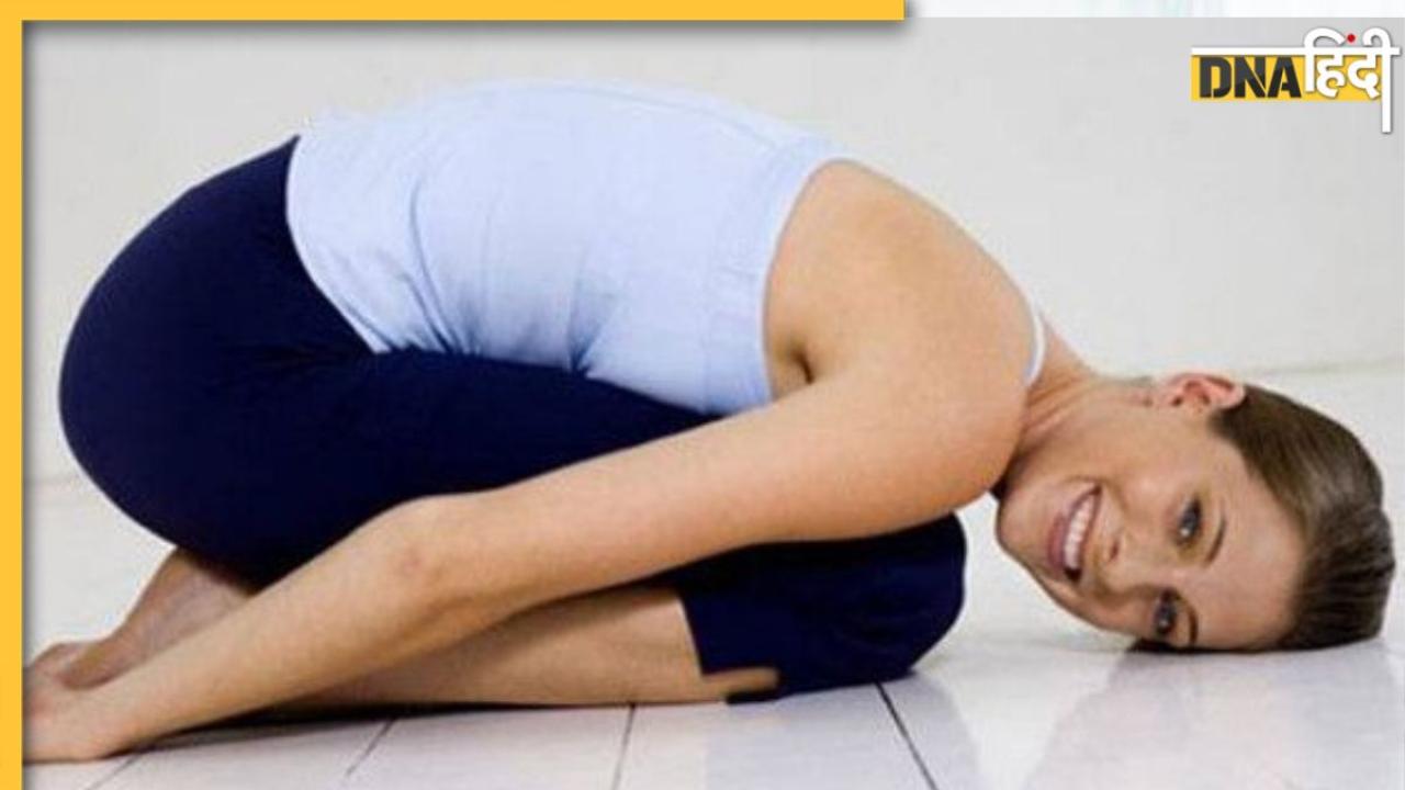 Blood Fat Loss Remedy: ये 7 योग धमनियों में जमी वसा बिना दवा निकाल सकते हैं बाहर, बढ़ने लगेगा Good कोलेस्ट्रॉल