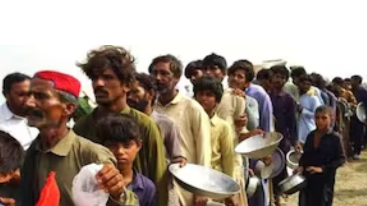 Pakistan Economic Crisis Milk Now Cost Rs 210 Per Litre Chicken At Rs pakistan-economic-crisis-milk-now-cost-rs-210-per-litre-chicken-at-rs
