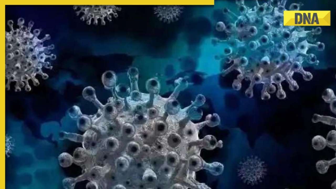 WHO confirms outbreak of Marburg virus in Equatorial Guinea Know all