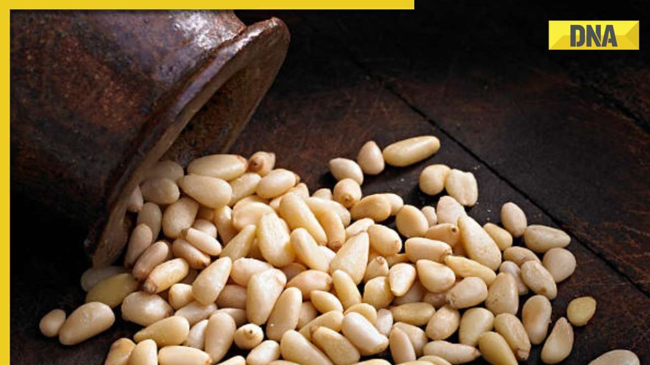 Discover top 5 health benefits of pine nuts for a healthier you