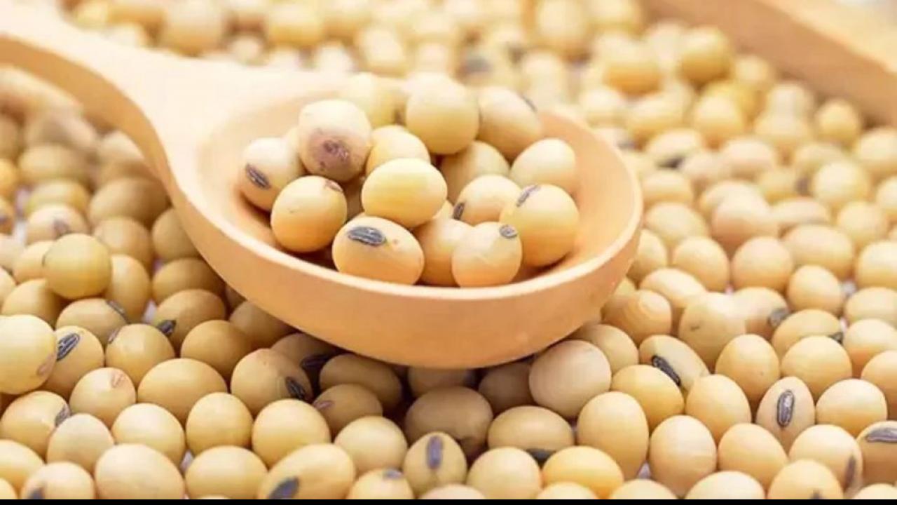 सोया (Soya)