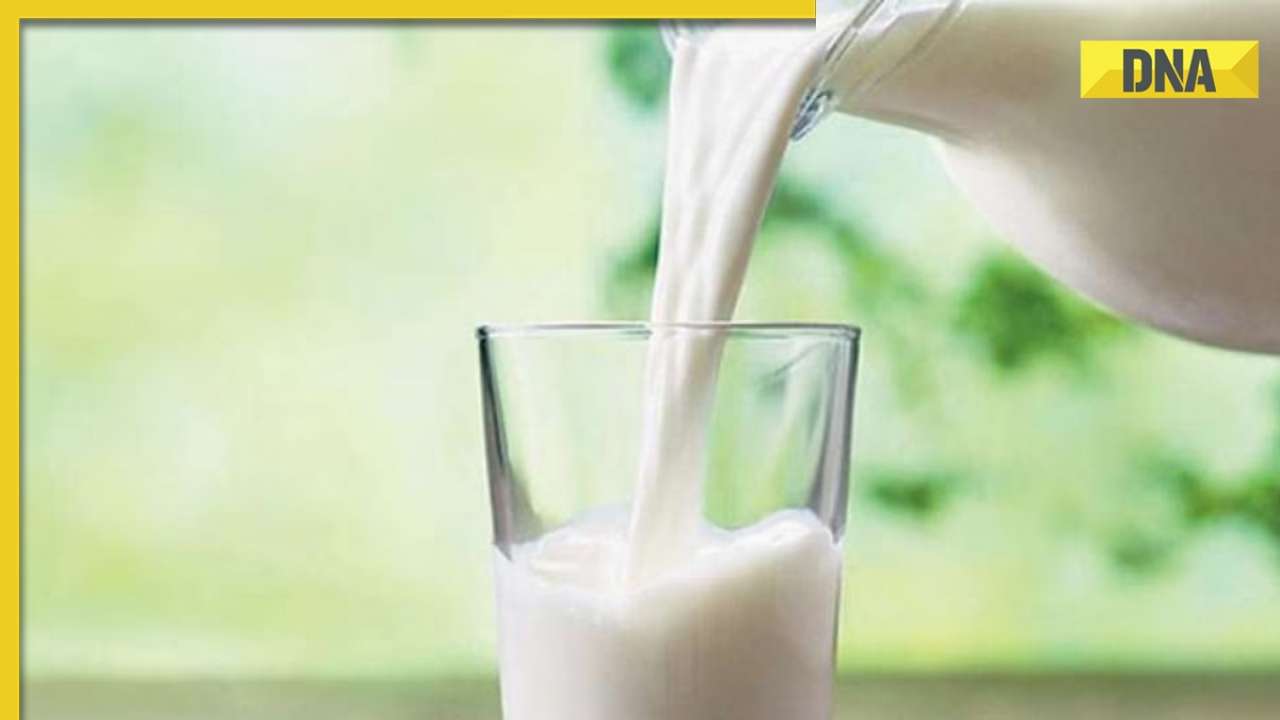 Mumbai: Buffalo milk price to hike by Rs 5 per litre from this date, check new rates