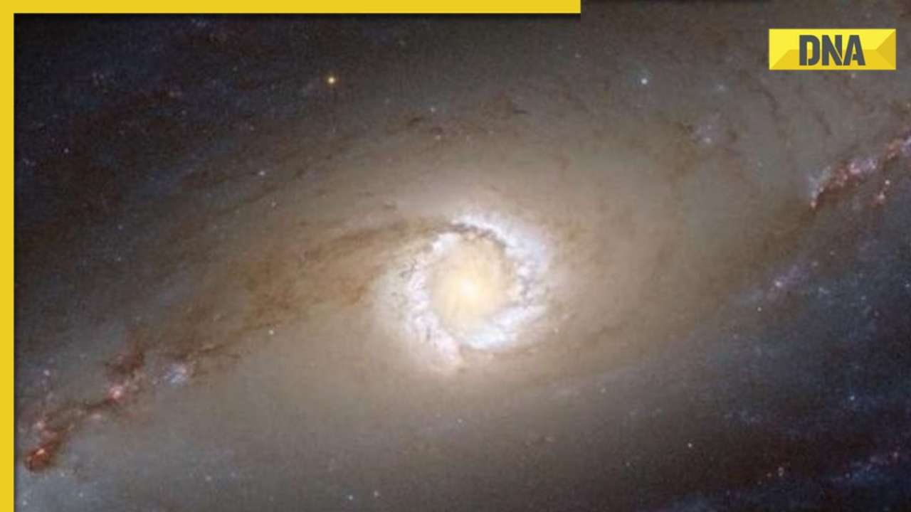 What is X7? Milky Way’s black hole is swallowing a mysterious object, scientists captivated