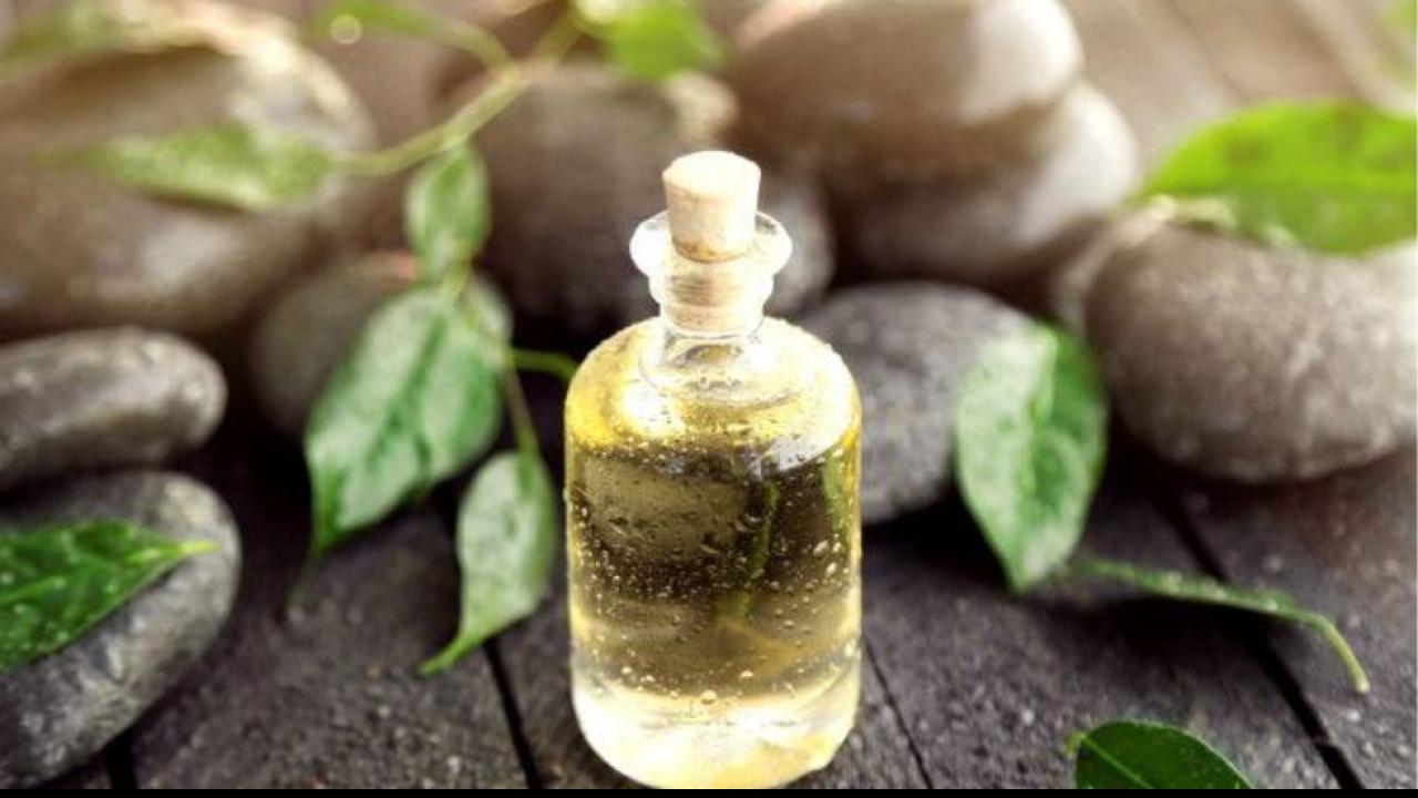 टी ट्री ऑयल (Tea Tree Oil)