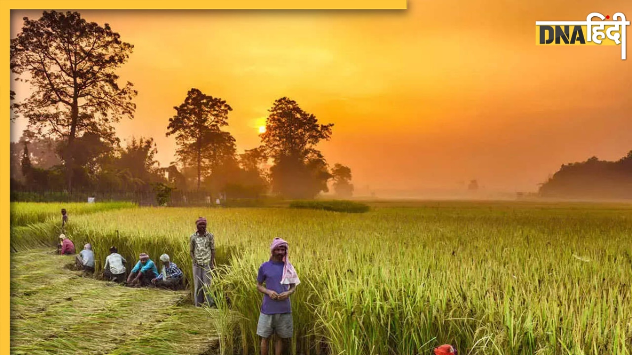 PM Kisan Yojana की 13वीं किस्त हुई जारी, इन किसानों को मिला लाभ