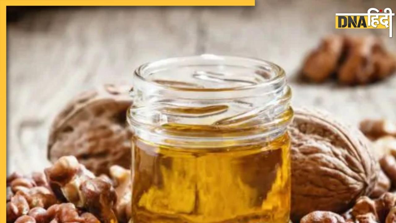 walnut health benefits Latest News and Updates in Hindi walnut health