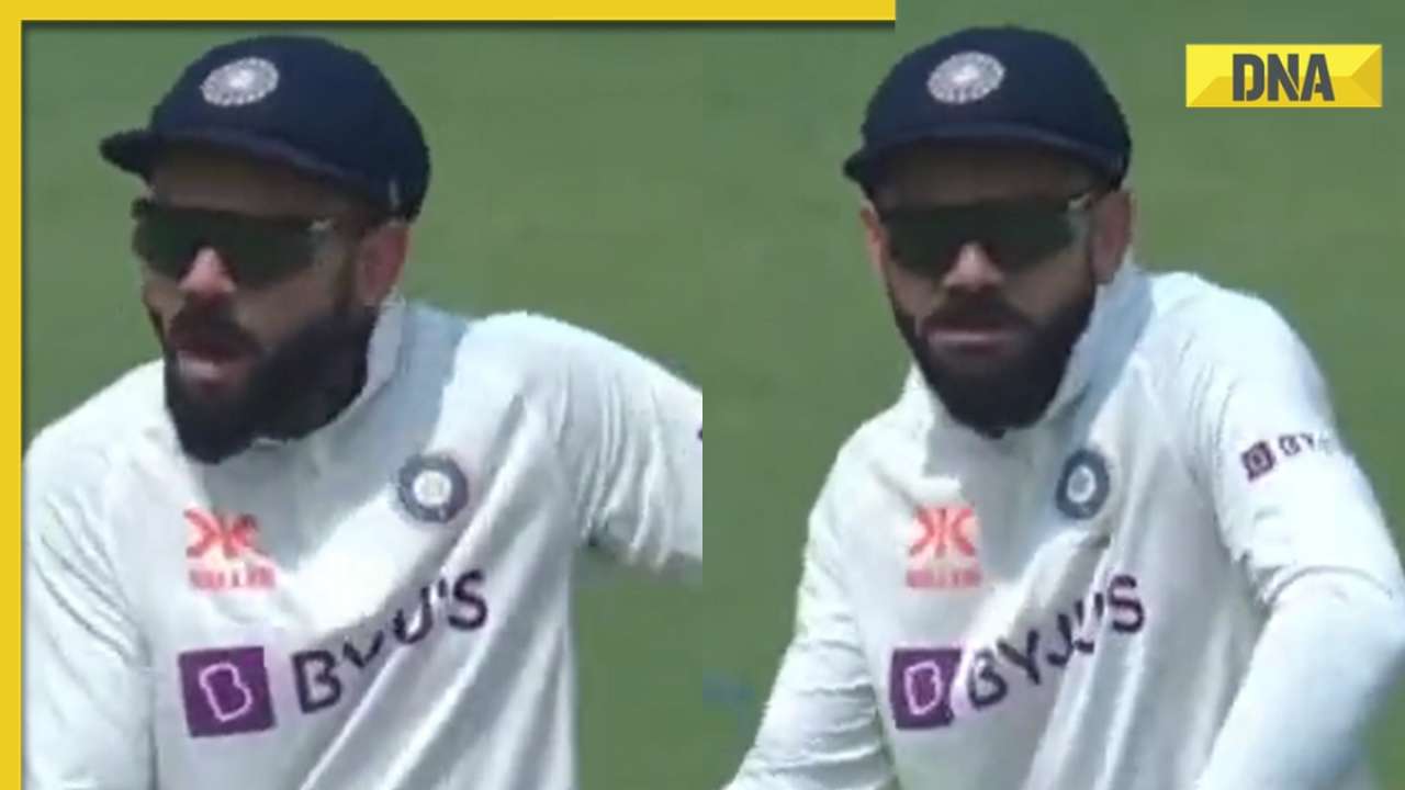 Watch: Virat Kohli dances on field as Ravindra Jadeja takes Travis Head's wicket, video goes viral