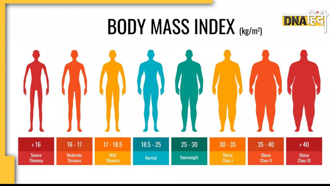 Test your BMI