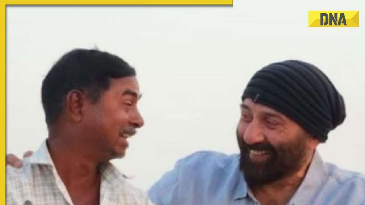 Sunny Deol Ki Xnxx Video - Aap Sunny Deol jaise lagte hain': Man fails to recognise actor in hilarious  viral video from Gadar 2 shoot