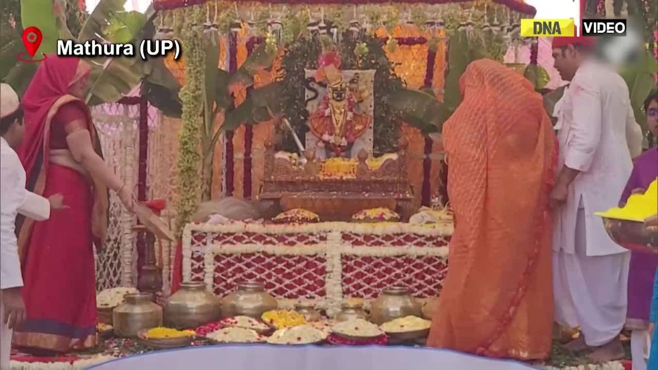 Devotees participate in Holi celebrations at Sharnagati Ashram Vrindavan 