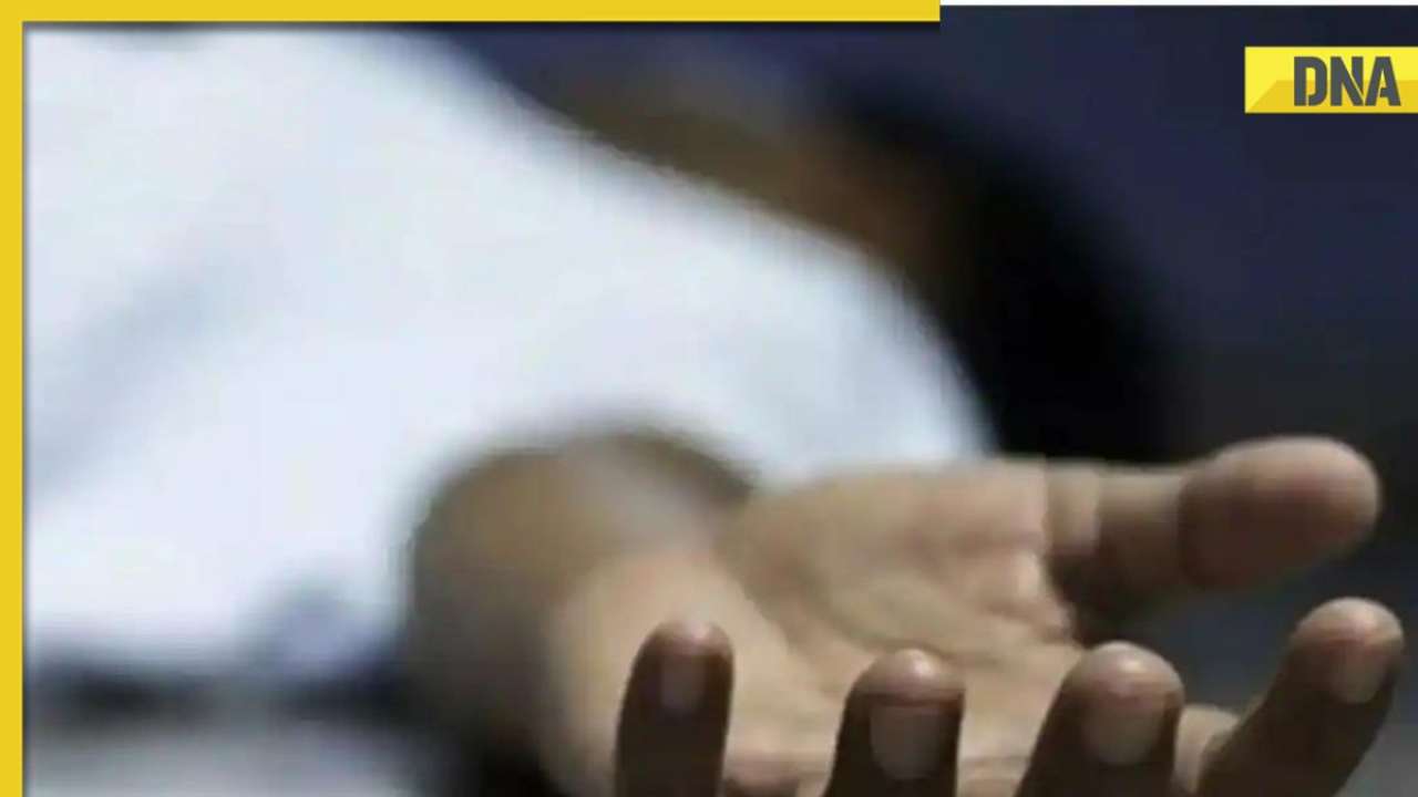 Haryana: Woman's body found stuffed in suitcase on Rohtak-Jaipur highway, probe underway