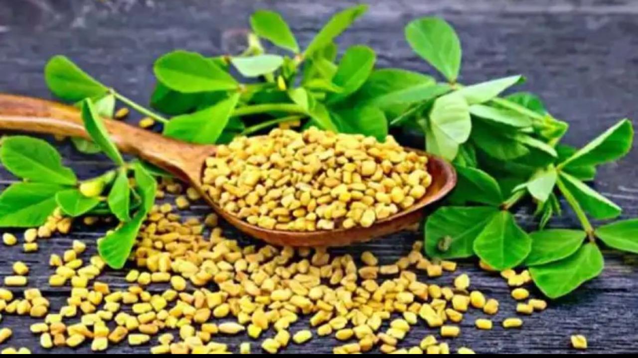 मेथी के दाने (Fenugreek Seeds For Bad Cholesterol)