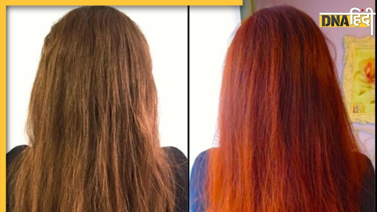 White Hair Natural Colour Tips: सफेद बाल पर मेहंदी का ऑरेंज नहीं, आएगा Blackish Brown Colour, बस हिना पेस्ट में मिला लें ये एक चीज