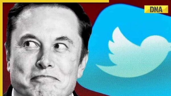 Elon Musk mocks laid-off Twitter employee about his work, disability