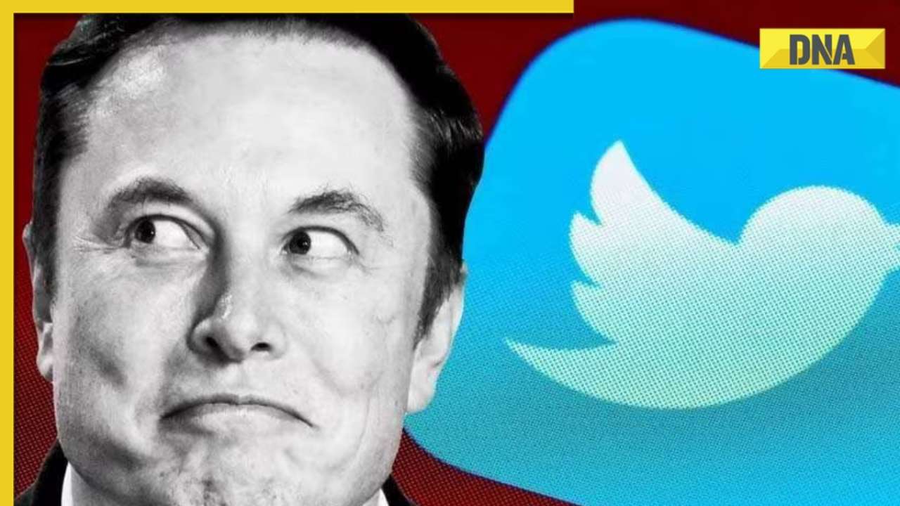 Elon Musk mocks laid-off Twitter employee about his work, disability