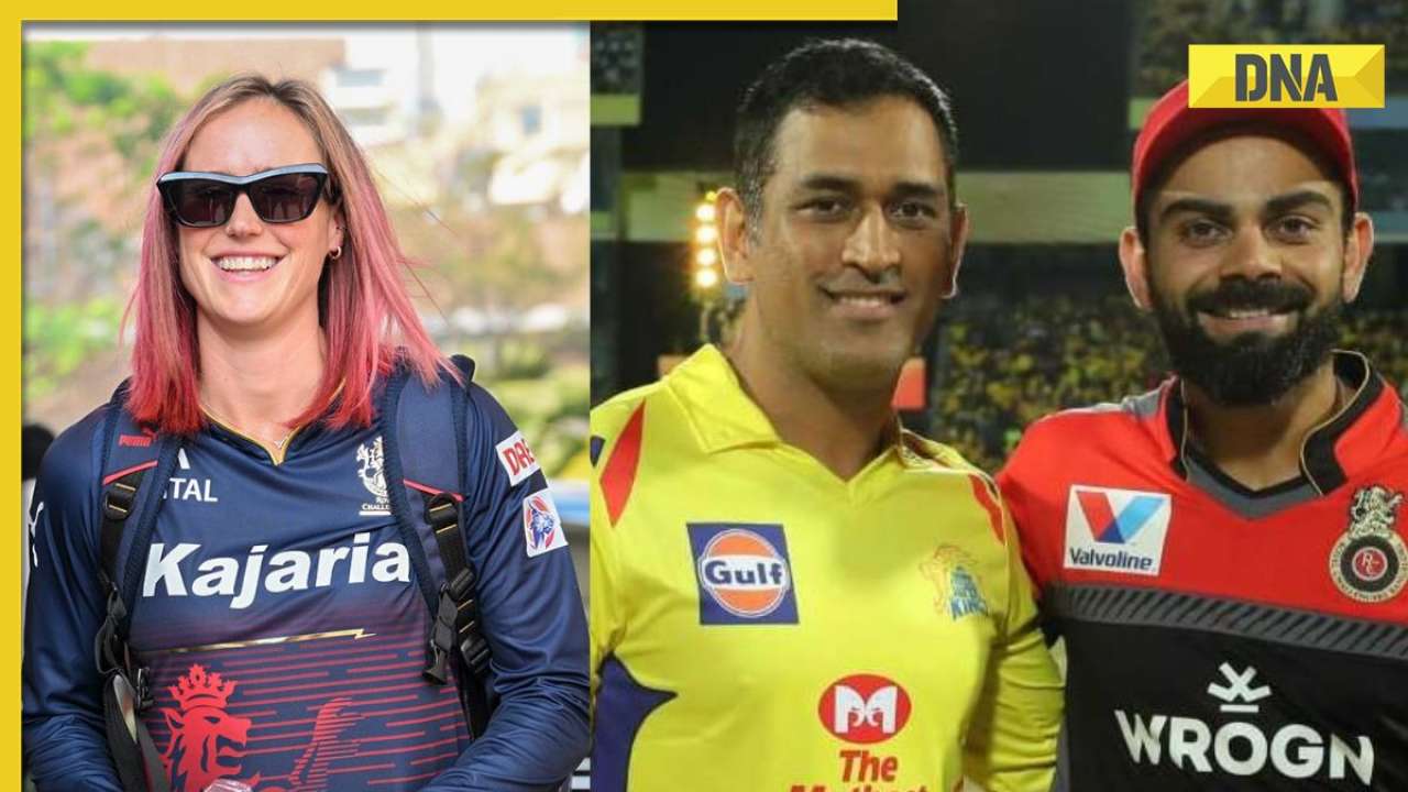 Ms Dhoni Or Virat Kohli Know Whom Rcbs Ellyse Perry Chooses As Her Opening Partner 6767