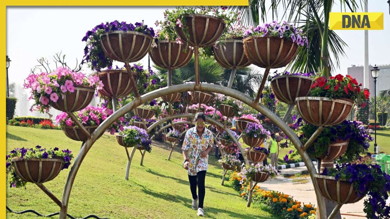 G20 Flower Festival