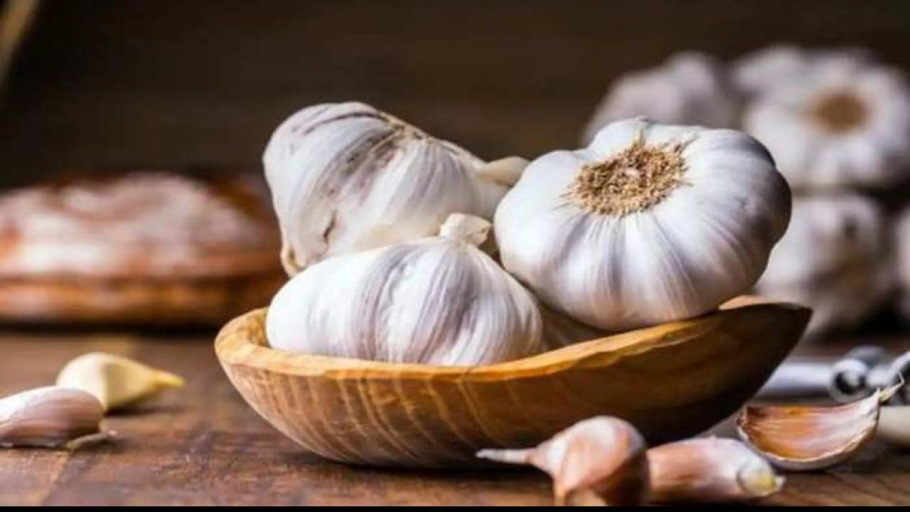 लहसुन (Garlic)