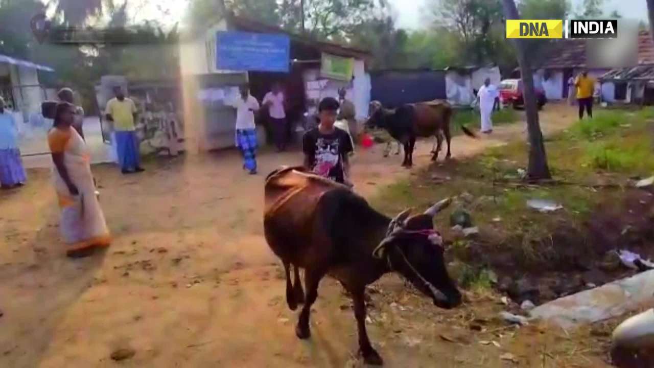 TN: Diary farmers stage protest in Erode, pour milk on the road 