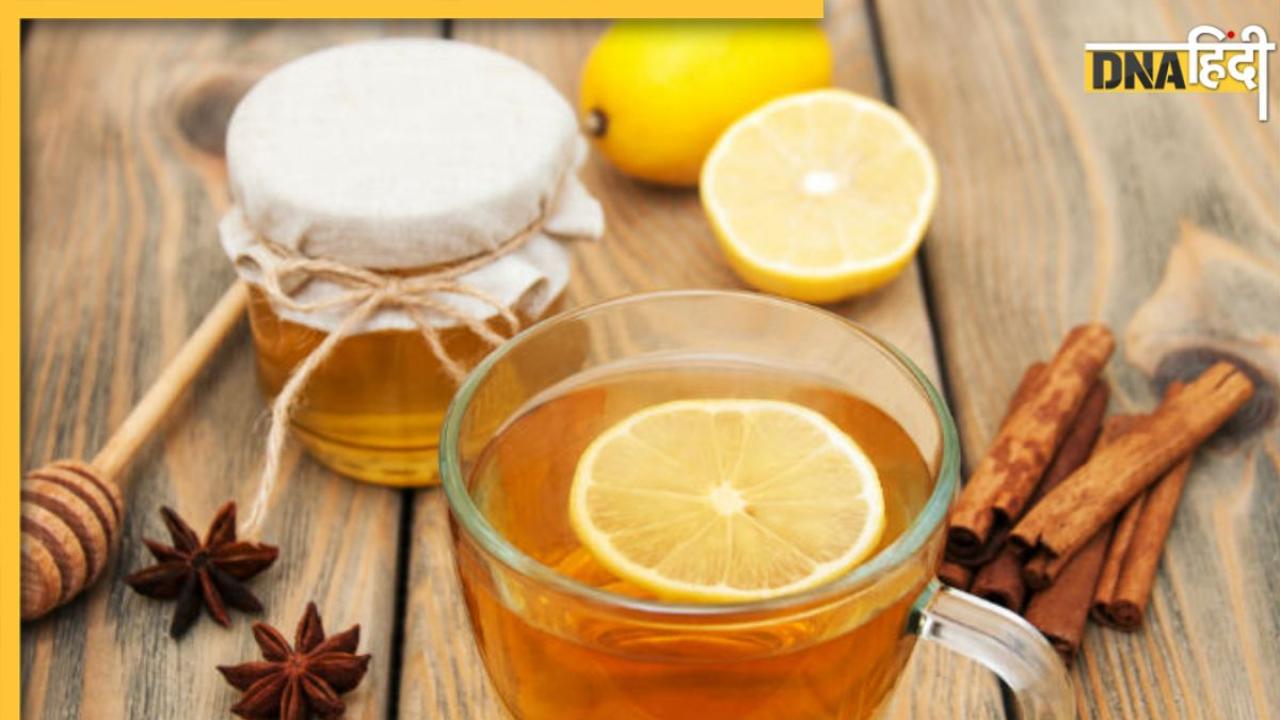 Best Herbs: ये 5 देसी हर्ब्स हर तरह के वायरस अटैक से बचाएंगे, वेट भी तेज से होगा कम