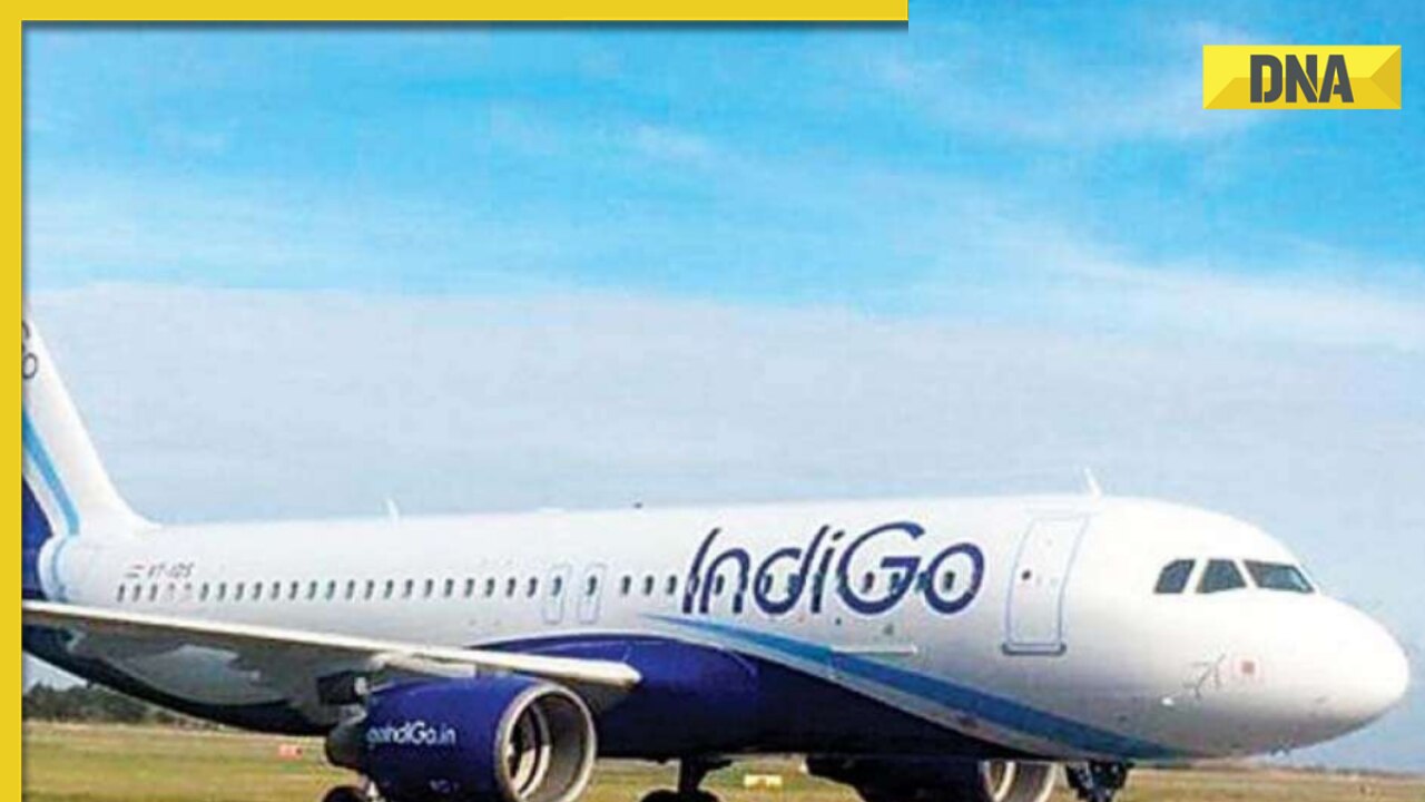 IndiGo passengers on Dubai-Mumbai flight arrested for unruly behaviour after drinking alcohol